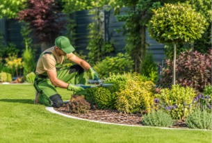 garden-maintenance-boxhill